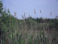 /album/de-voorbereiding/sdc10641-jpg2/